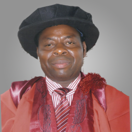 Prof. Godwin T. Jombo